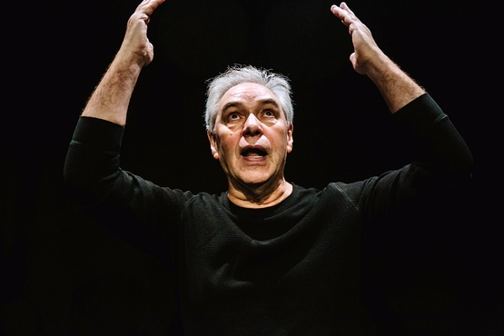 תמונת מופע: אלכסנדרס רובינובאס -הצגת יחיד ברוסית